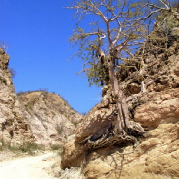 Cañón de Costa Azul